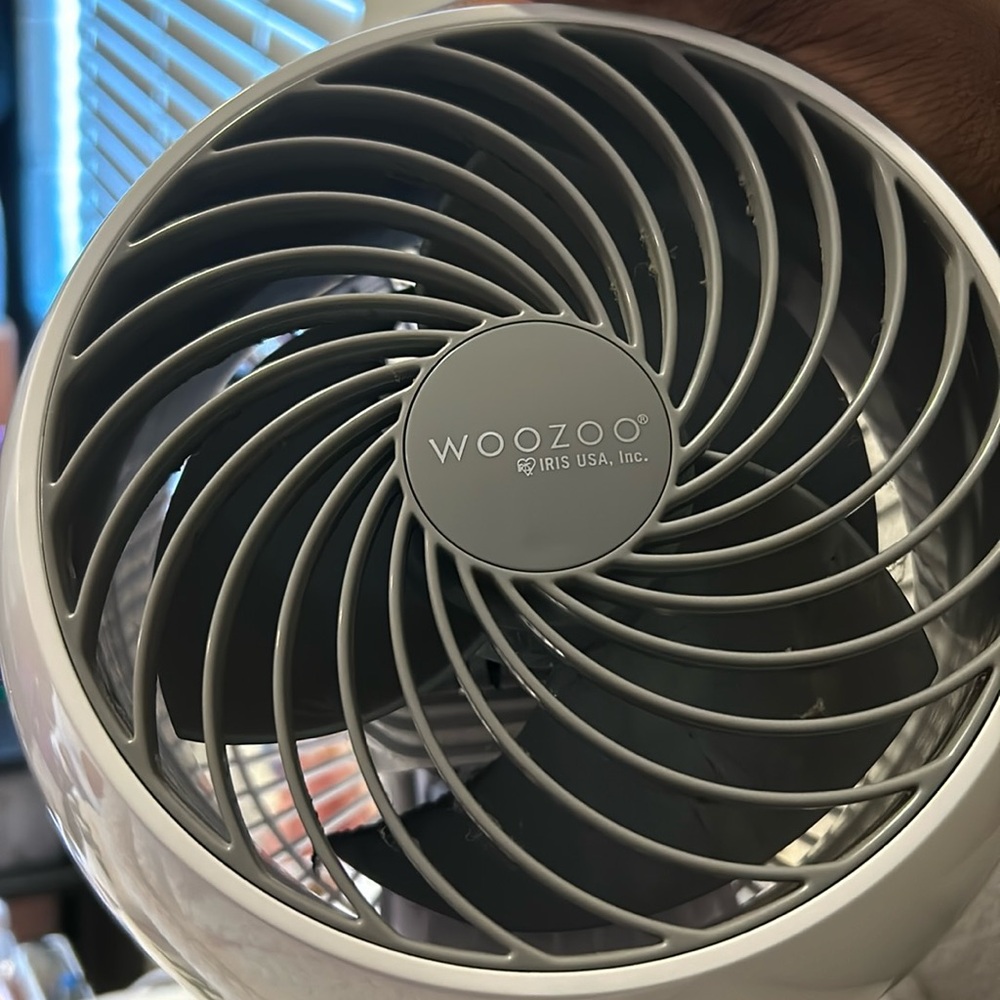 Woozoo Fan